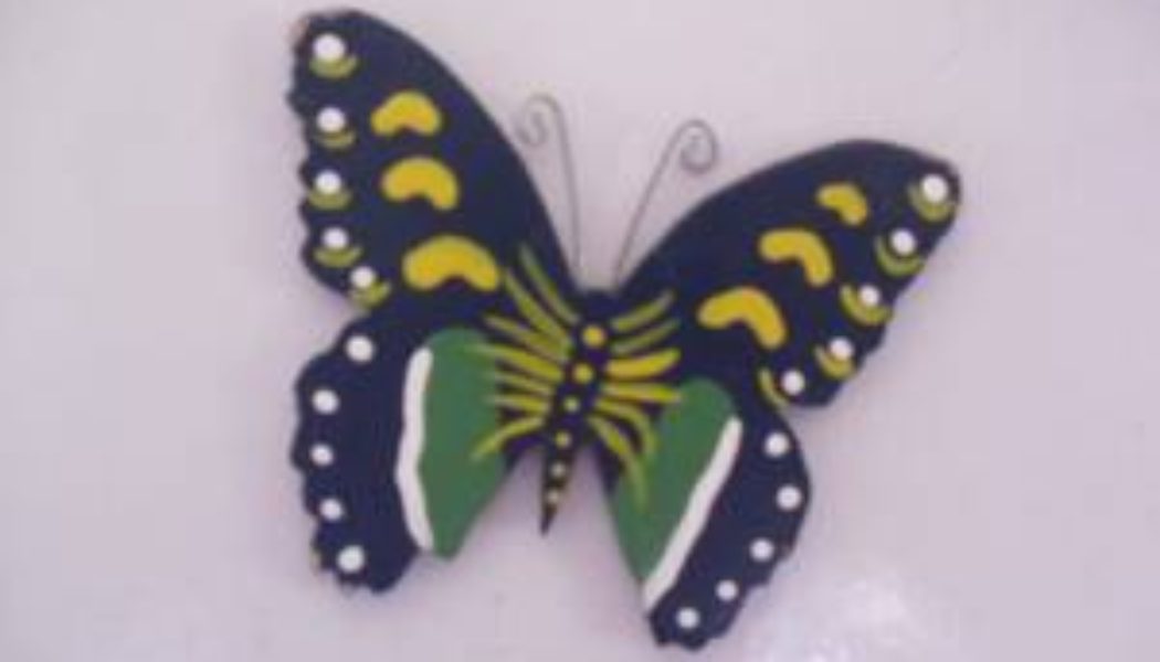 Injabulo’s Butterfly