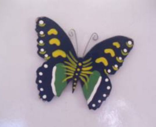 Injabulo’s Butterfly