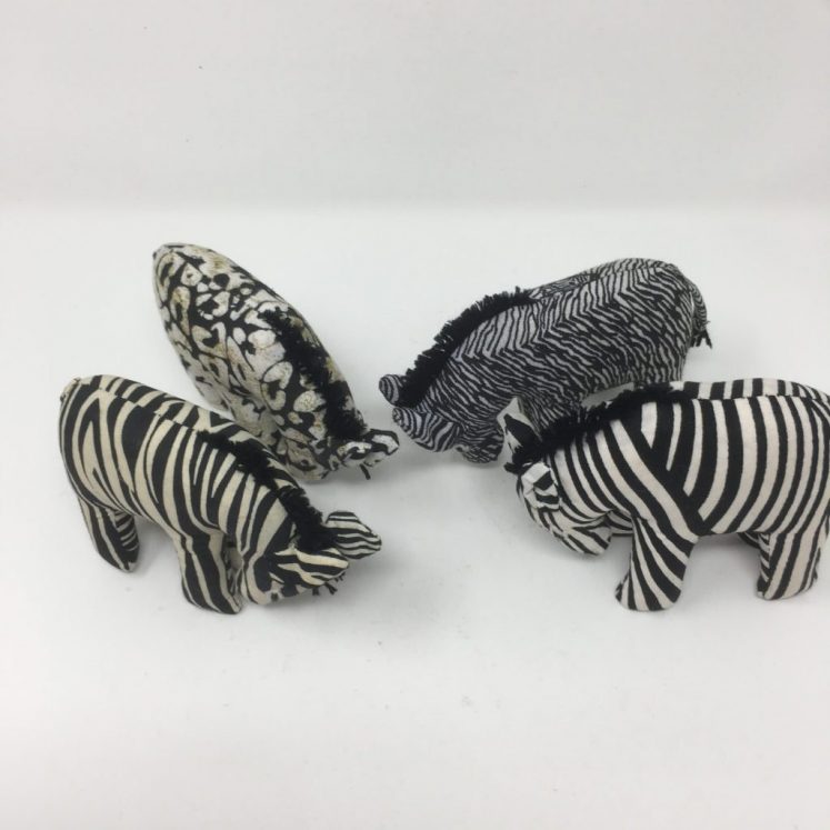 Amazing Animals –  Zebra