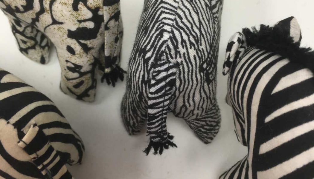 Amazing Animals –  Zebra