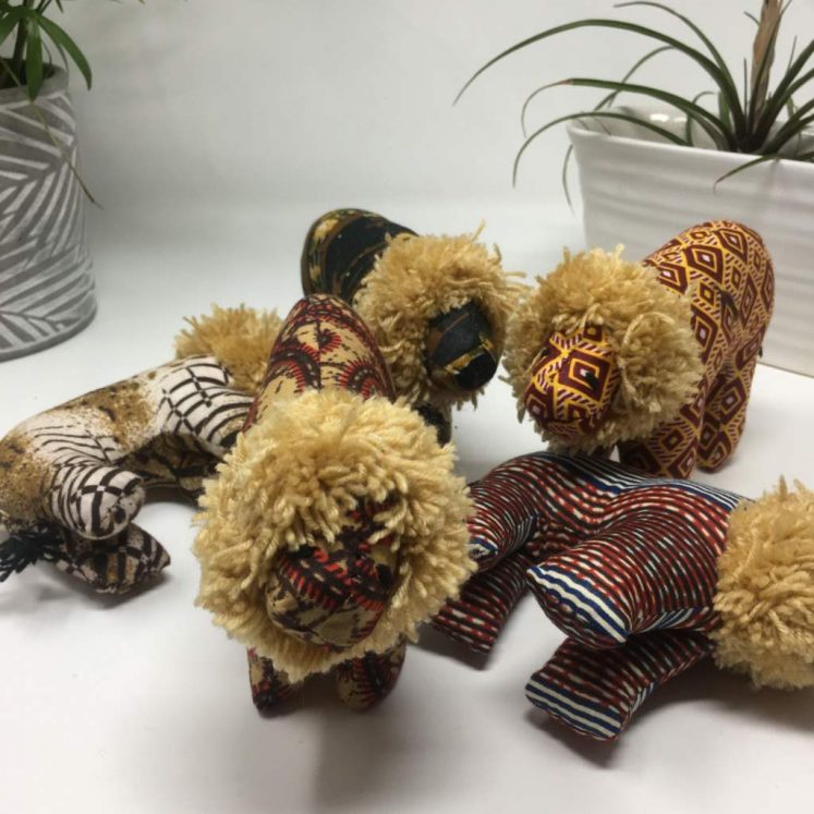 Amazing Animals –  Lion