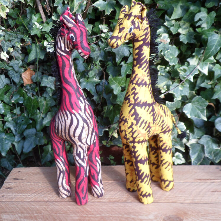 Rwandan animals – giraffe medium
