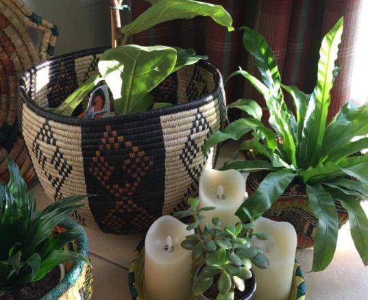 Home Decorating Ideas 4 Baskets love plants – Plants love baskets