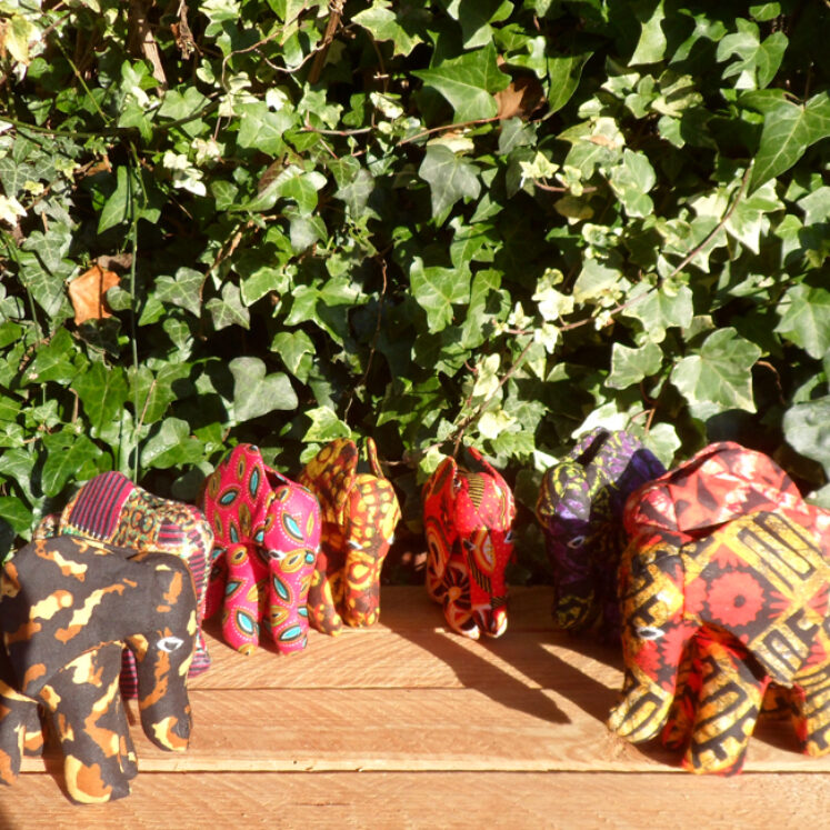 Rwandan animals – elephant small